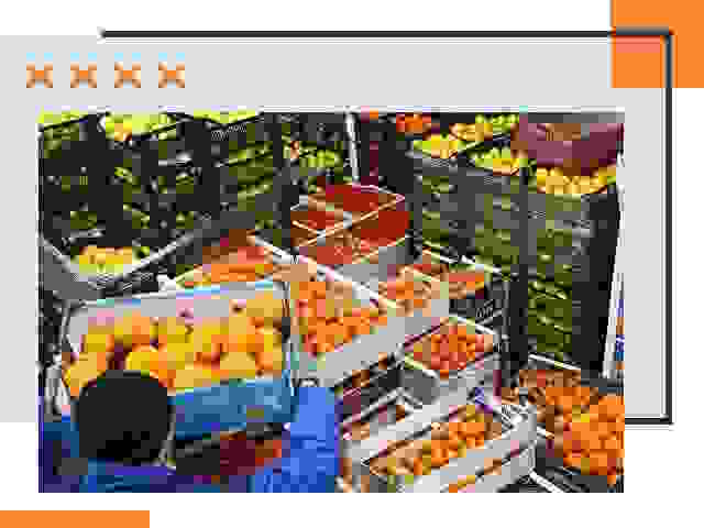 Перевозка скоропортящихся продуктов в Нягани